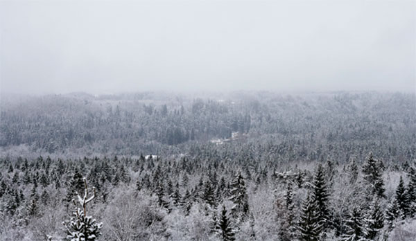 Madara Organic Skincare : blending northern tradition with innovation…