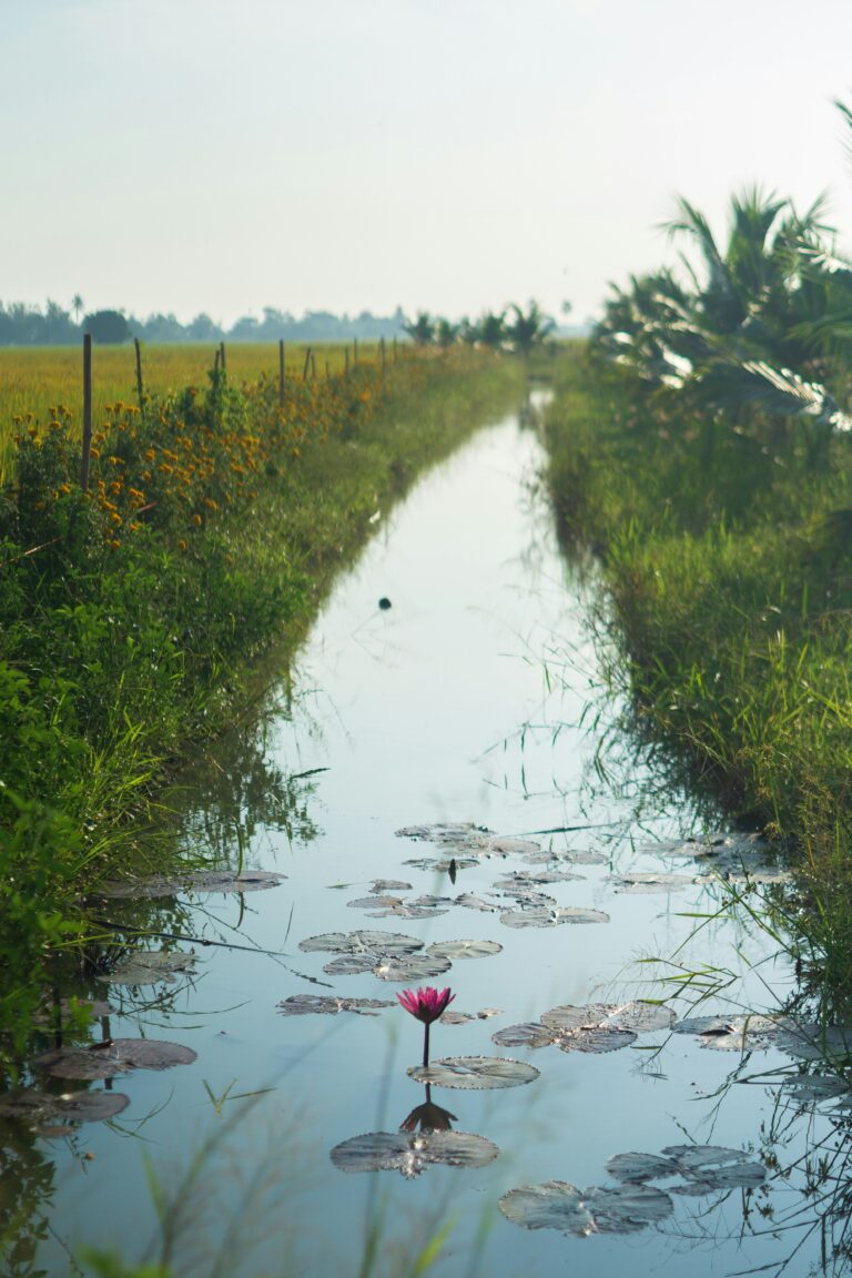 What’s Really Inside K-Beauty?