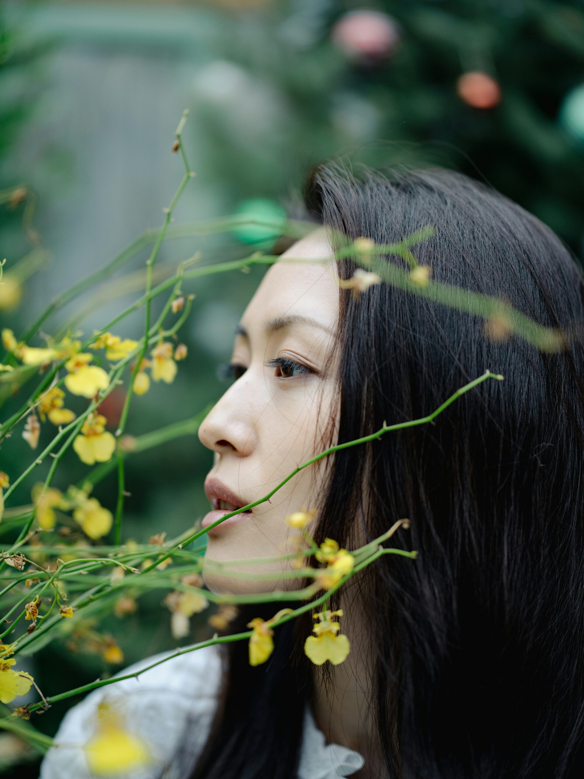 The Truth About K-Beauty Ingredients